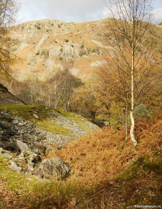 Вязаные проекты в книге «Westmorland»