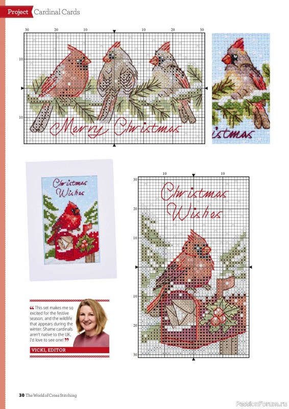 Коллекция вышивки в журнале «The World of Cross Stitching №378 2026»