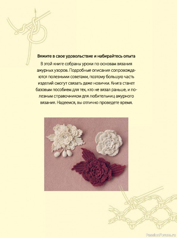 Вязаные проекты в книге &laquo;Ажурное вязание крючком&raquo;.