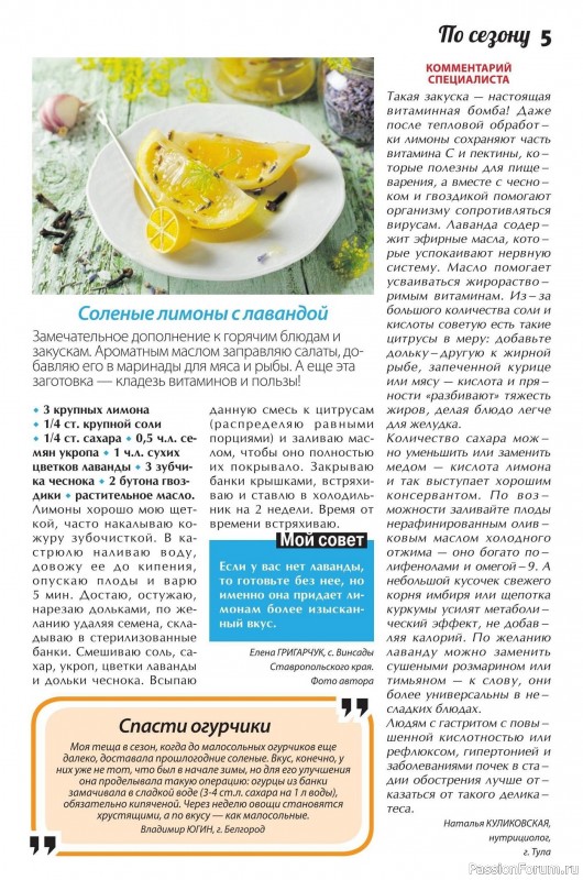 Коллекция кулинарных рецептов в журнале «Сваты. Заготовки №4 2026»