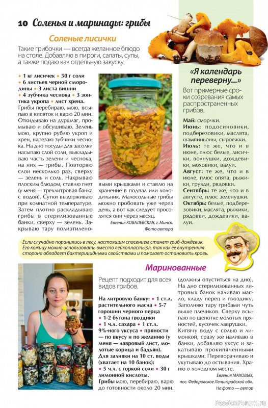 Коллекция кулинарных рецептов в журнале «Сваты. Заготовки №9 2025»