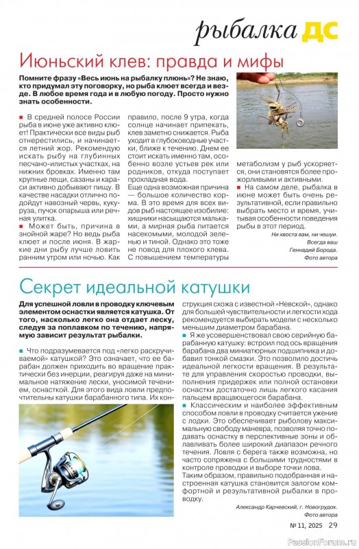 Коллекция проектов для рукодельниц в журнале «Делаем сами №11 2025»