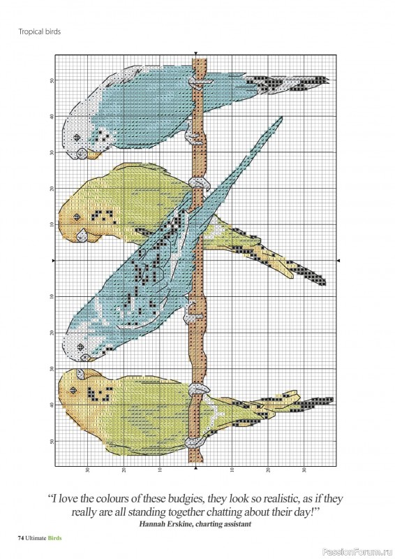 Коллекция вышивки в журнале «Cross Stitch Birds - March 2025»