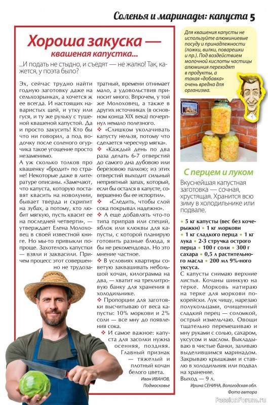 Коллекция кулинарных рецептов в журнале «Сваты. Заготовки №11 2025»