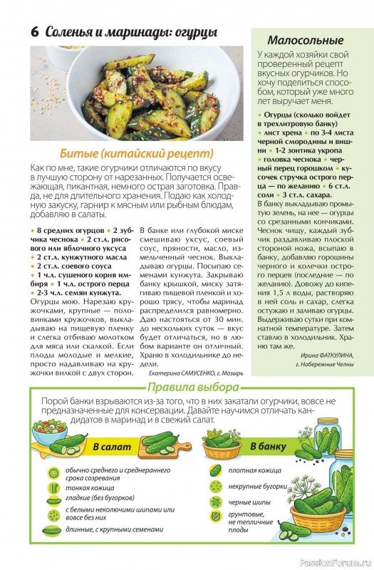 Коллекция кулинарных рецептов в журнале &laquo;Сваты. Заготовки №6 2026&raquo;