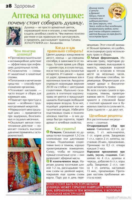 Коллекция кулинарных рецептов в журнале «Сваты на кухне №8 2025»