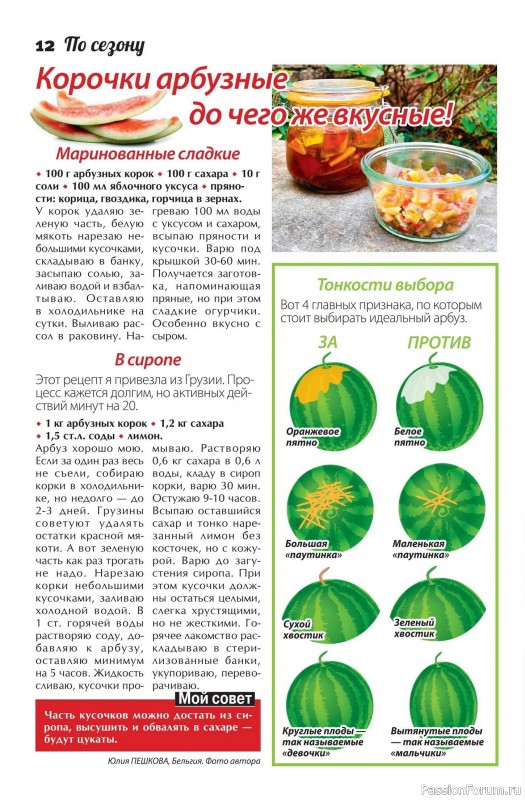 Коллекция кулинарных рецептов в журнале «Сваты. Заготовки №9 2025»