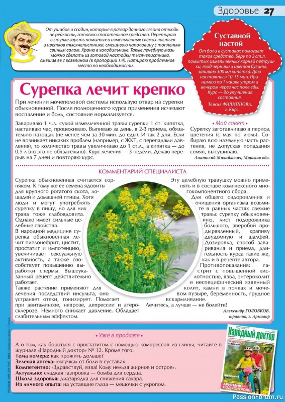 Коллекция кулинарных рецептов в журнале «Сваты на кухне №6 2024»