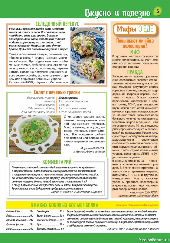 Коллекция кулинарных рецептов в журнале «Наша кухня Салаты и Закуски №4 2024»