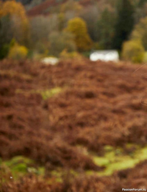 Вязаные проекты в книге «Westmorland»