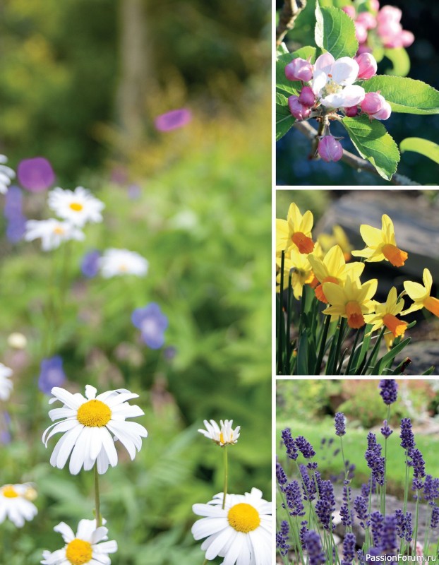 Bязаные проекты в журнале «100 crochet: flowers, plants and petals»