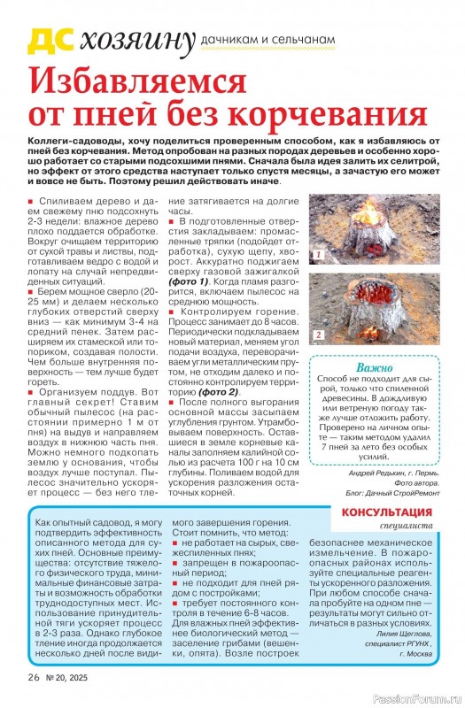 Коллекция проектов для рукодельниц в журнале «Делаем сами №20 2025»