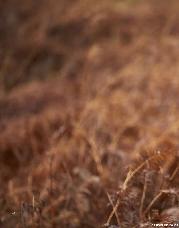 Вязаные проекты в книге «Westmorland»