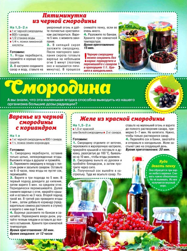 Коллекция кулинарных рецептов в журнале «На нашей кухне №4 2024»