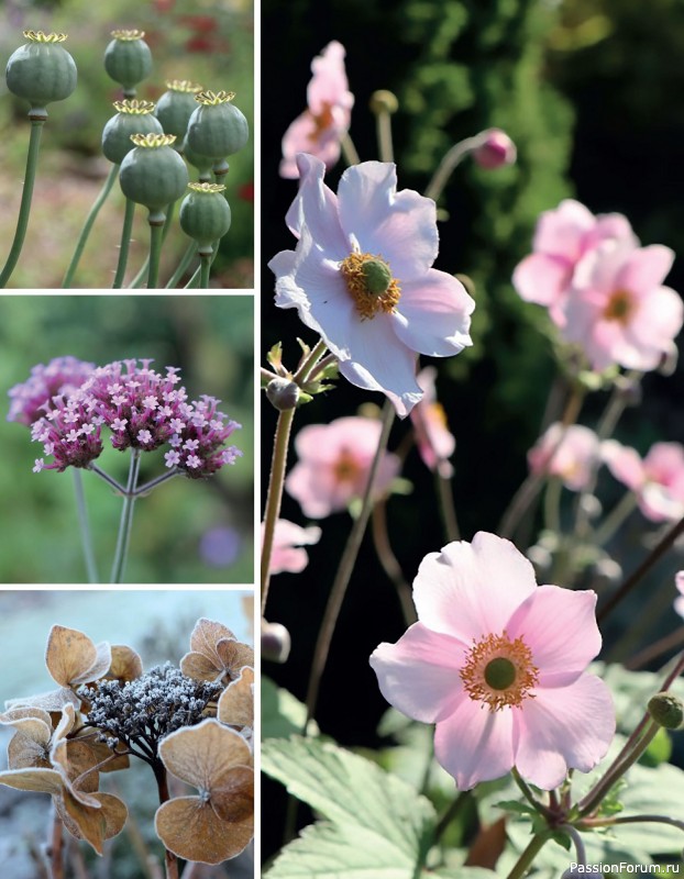 Bязаные проекты в журнале «100 crochet: flowers, plants and petals»