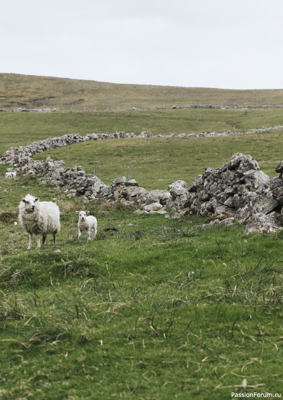 Вязаные проекты в книге «Grand Shetland Adventure Knits». Часть 1.