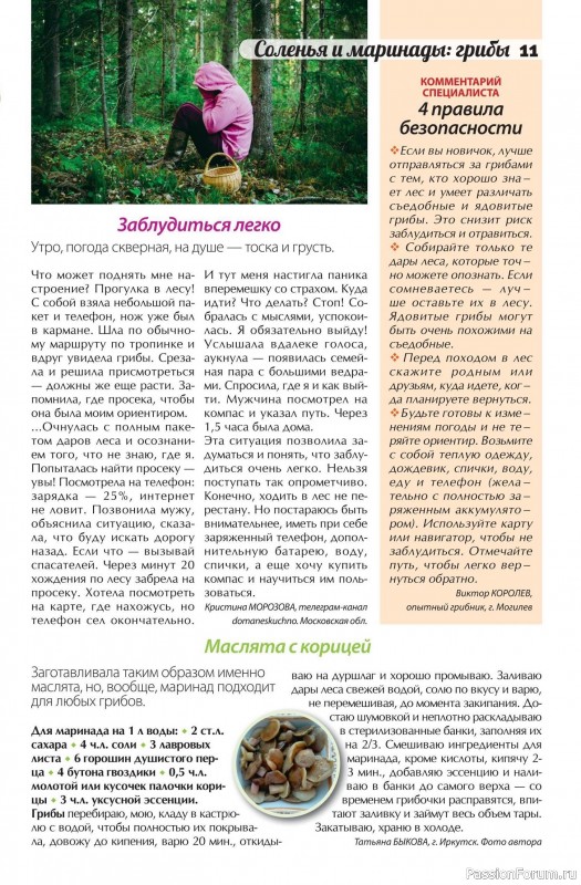 Коллекция кулинарных рецептов в журнале «Сваты. Заготовки №9 2025»