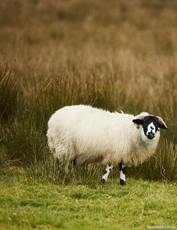 Вязаные проекты в книге «Westmorland»