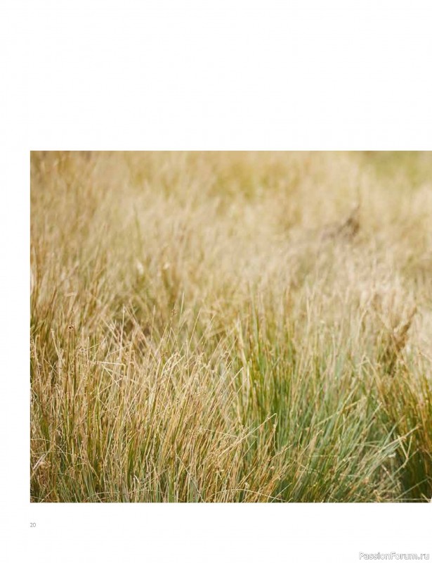 Вязаные проекты в книге «Westmorland»