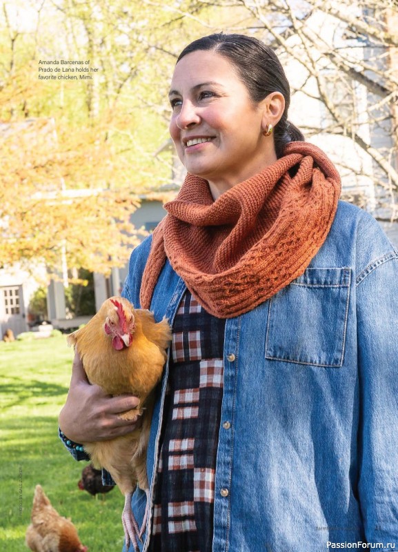 Вязаные проекты в журнале «Farm & Fiber Knits - Fall 2026»