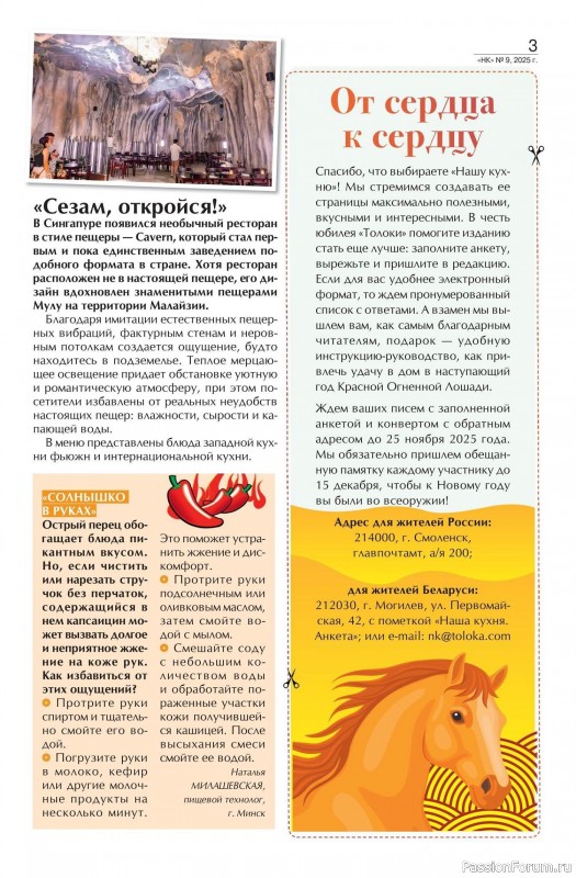 Коллекция кулинарных рецептов в журнале «Наша кухня №9 2025»