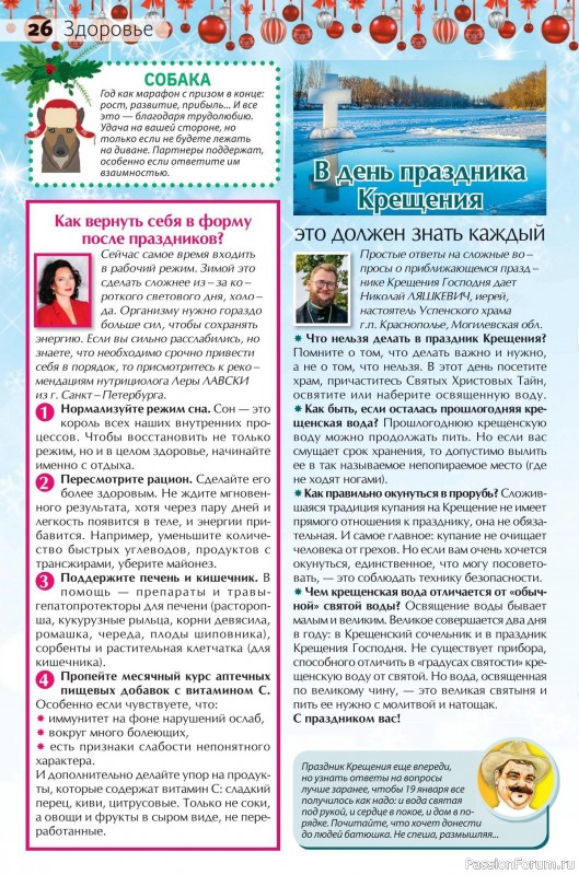 Коллекция кулинарных рецептов в журнале &laquo;Сваты на кухне №12 2025&raquo;