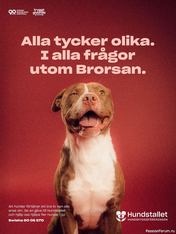 Коллекция проектов для рукодельниц в журнале &laquo;Stickat & Sant №1 2026&raquo;