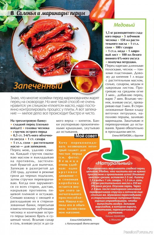 Коллекция кулинарных рецептов в журнале «Сваты. Заготовки №9 2025»