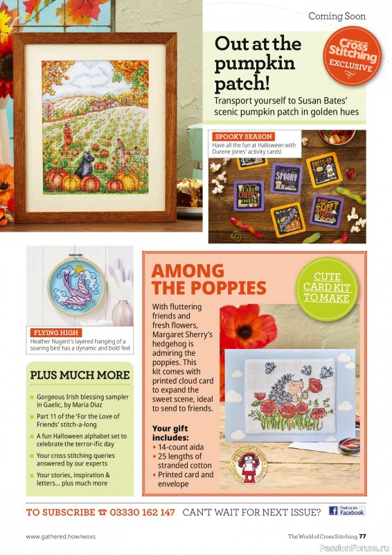 Коллекция вышивки в журнале «The World of Cross Stitching №375 2026»