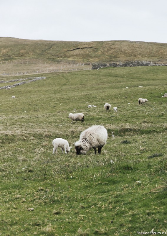 Вязаные проекты в книге «Grand Shetland Adventure Knits». Часть 1.