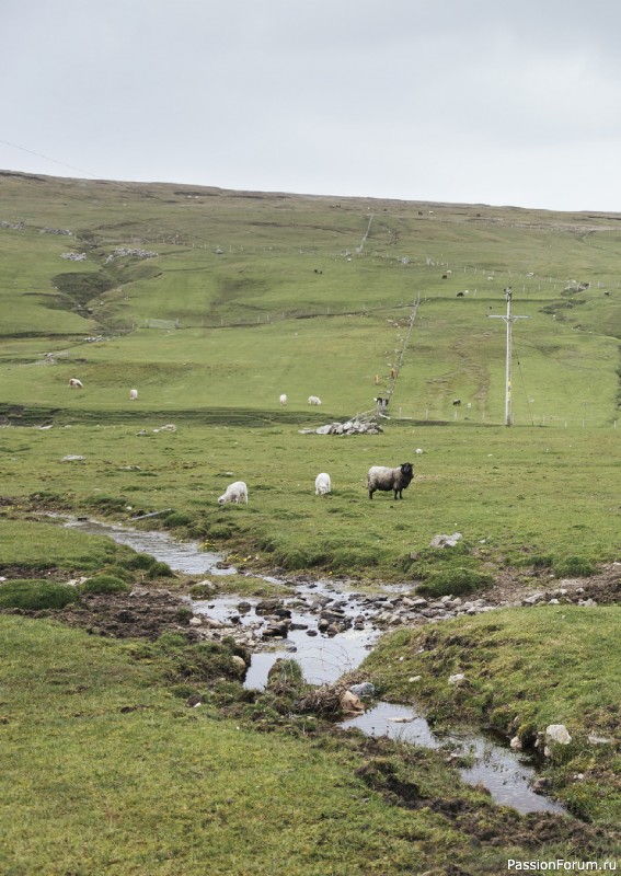 Вязаные проекты в книге «Grand Shetland Adventure Knits». Часть 2