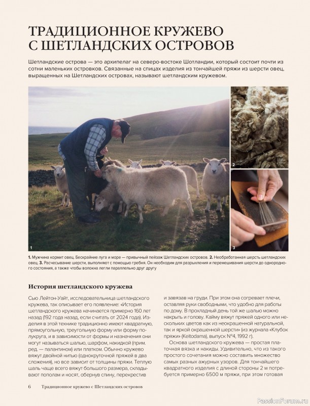 Вязаные проекты в книге &laquo;Шетландское кружево&raquo;.