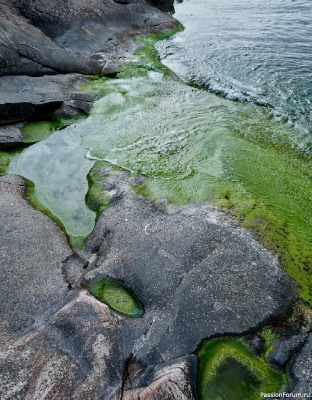 Вязаные проекты в книге «The Art of the Sea».