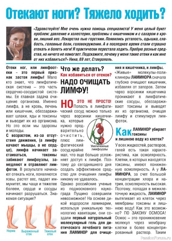 Коллекция кулинарных рецептов в журнале &laquo;Люблю готовить! №6 2026&raquo;