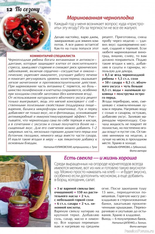 Коллекция кулинарных рецептов в журнале «Сваты. Заготовки №11 2025»