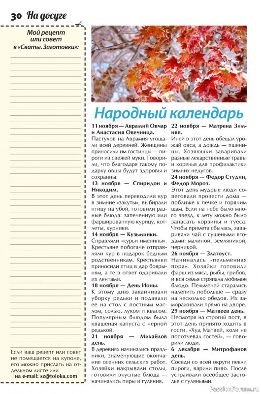 Коллекция кулинарных рецептов в журнале «Сваты. Заготовки №11 2025»