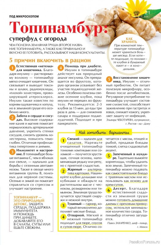 Коллекция кулинарных рецептов в журнале «Наша кухня №10 2025»