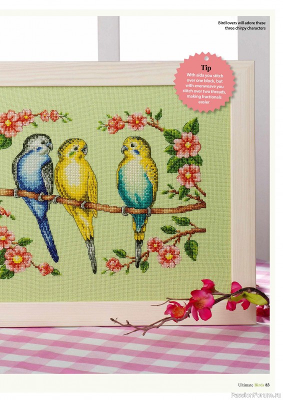 Коллекция вышивки в журнале «Cross Stitch Birds - March 2025»