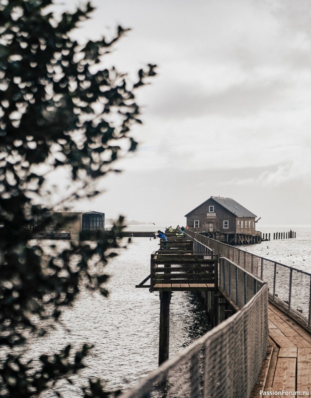 Вязаные проекты в книге «Salt & Timber»