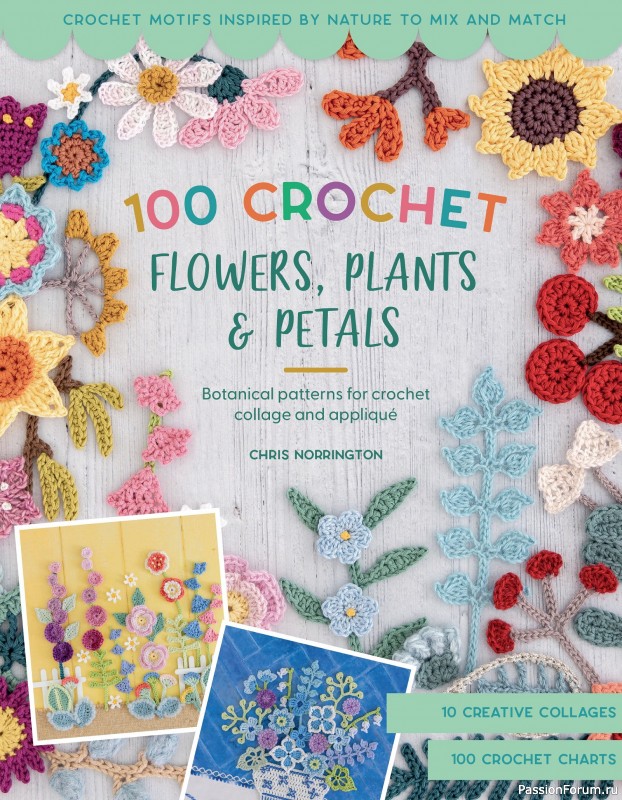Bязаные проекты в журнале «100 crochet: flowers, plants and petals»