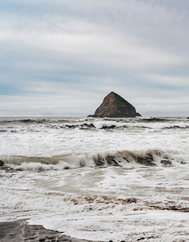 Вязаные проекты в книге «Salt & Timber»