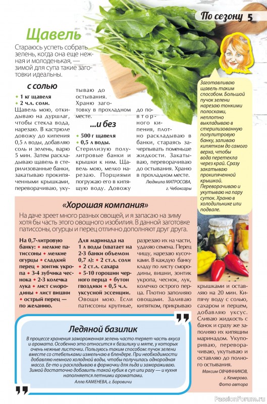 Коллекция кулинарных рецептов в журнале «Сваты. Заготовки №7 2026»