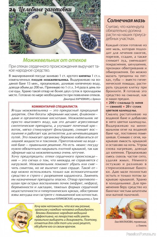 Коллекция кулинарных рецептов в журнале &laquo;Сваты. Заготовки №9 2026&raquo;