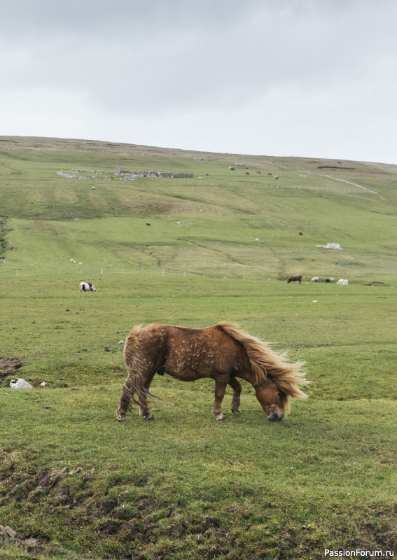 Вязаные проекты в книге «Grand Shetland Adventure Knits». Часть 2