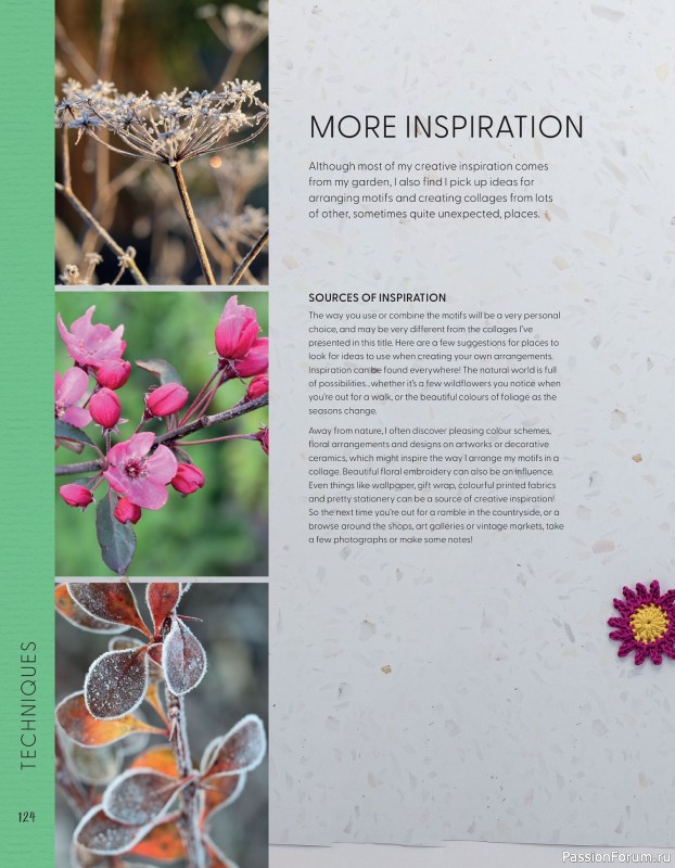 Bязаные проекты в журнале «100 crochet: flowers, plants and petals»