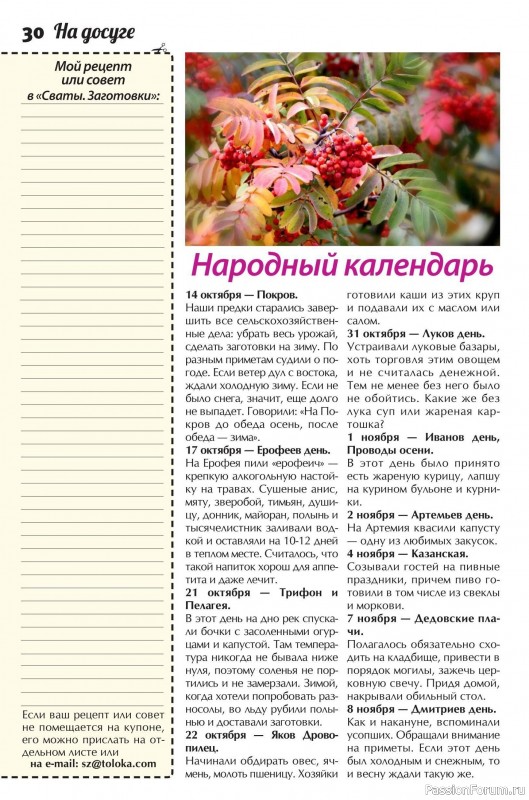 Коллекция кулинарных рецептов в журнале «Сваты. Заготовки №10 2025»