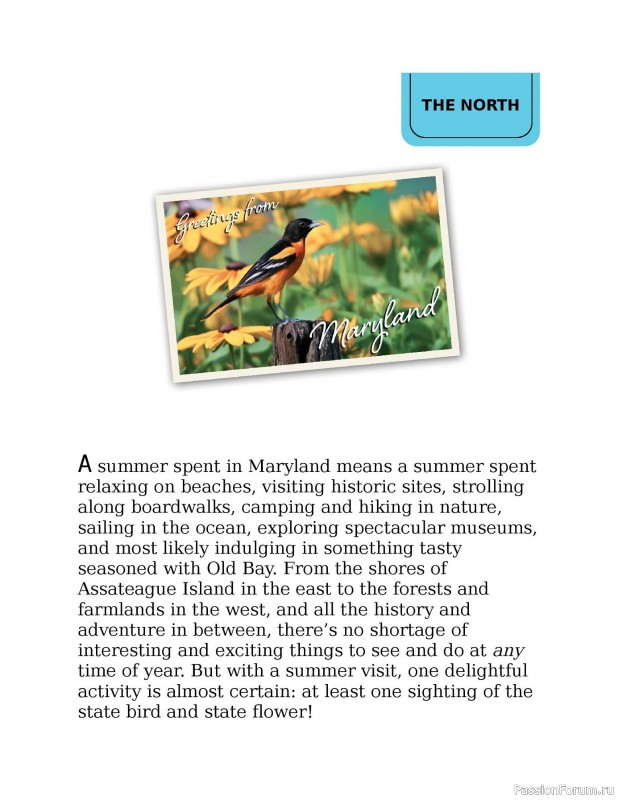 Вязаные проекты в книге «Knitting the U.S.A.». Часть 1