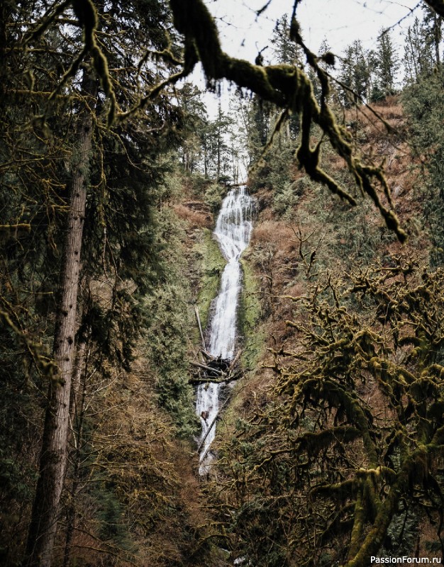 Вязаные проекты в книге «Salt & Timber»