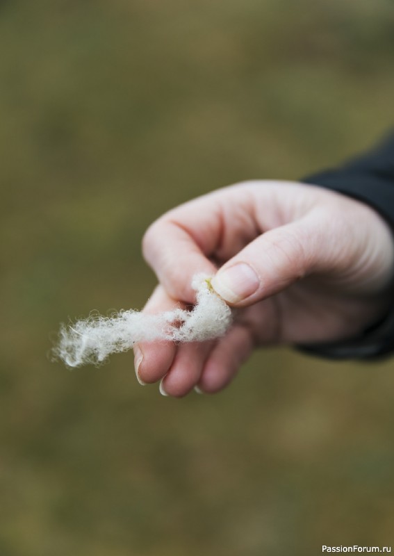 Вязаные проекты в книге «Grand Shetland Adventure Knits». Часть 2