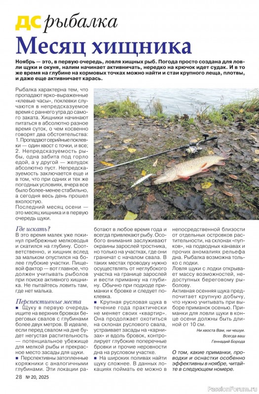 Коллекция проектов для рукодельниц в журнале «Делаем сами №20 2025»